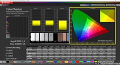CalMAN ColorChecker (profilo: sRGB, spazio colore di destinazione: sRGB)