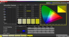 CalMAN scala di grigi calibrata