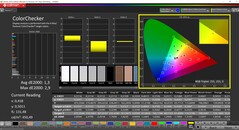 CalMAN ColorChecker (profilo: sRGB, spazio colore di destinazione: sRGB)