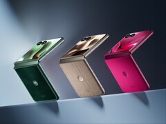 Motorola Razr Ultra è disponibile in quattro finiture, tra cui una in legno e una in Alcantara. (Fonte: Motorola)