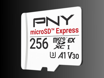 Scheda flash microSD Express PNY da 256 GB (Fonte: PNY PR)
