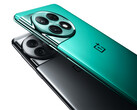 OnePlus vende l'Ace 2 Pro in due colori. (Fonte: OnePlus)