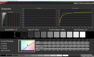 Scale di grigi (True Tone: off, spazio colore di destinazione: sRGB)