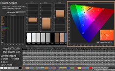 CalMAN: ColorChecker (calibrato)