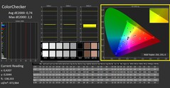 CalMAN - Color Checker (calibrato)