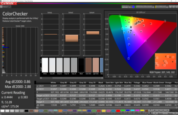 CalMAN: Colorchecker - calibrato (Spazio colore target P3)