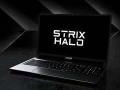 L'AMD Ryzen AI Max Plus 395 si unirà alle altre controparti Strix Halo al CES 2025 (fonte immagine: AMD, a cura)