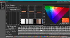 ColorChecker dopo la calibrazione