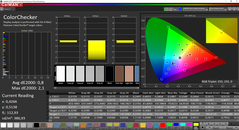 CalMAN: ColorChecker - spazio colore target AdobeRGB (calibrato)