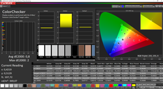 CalMAN - ColorChecker (calibrato)