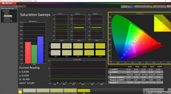 Saturazione calibrata