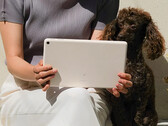 Si dice che Google abbia creato quattro opzioni di colore per il Pixel Tablet. (Fonte: Google)