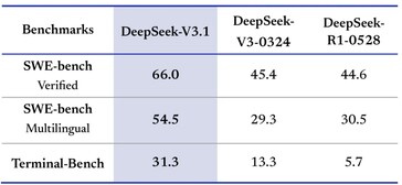 I programmatori apprezzeranno DeepSeek-V3.1 per la sua maggiore capacità di codifica. (Fonte immagine: DeepSeek)
