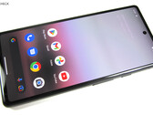 Alcuni utenti di Google Pixel 6a hanno riscontrato problemi enormi dopo l'ultimo aggiornamento software (Fonte: Notebookcheck)