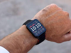 Il Venu X1 costa quasi quanto i recenti smartwatch Garmin Fenix e Forerunner. (Fonte: Garmin)