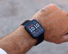 Il Venu X1 costa quasi quanto i recenti smartwatch Garmin Fenix e Forerunner. (Fonte: Garmin)