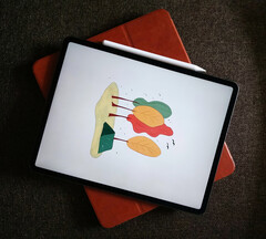 Sembra che Apple stia gettando le basi per il prossimo rilascio dell&#039;iPad con iPadOS 17.5. (Fonte immagine: Tony Sebastian)