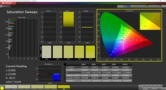 CalMAN Colorchecker Saturazione calibrata