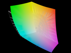 Il pannello copre il 95,5% dello spazio colore AdobeRGB