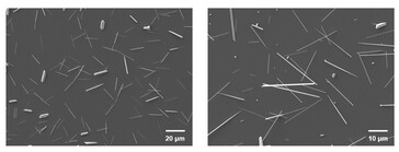 Immagini al microscopio elettronico a scansione dei nanofili di tellurio nell'impianto retinico. (Fonte immagine: Science. DOI: 10.1126/science.adu2987)