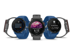 La versione 14.08 di Garmin Public Beta ha causato problemi che hanno portato al riavvio di alcuni smartwatch. (Fonte: Garmin)