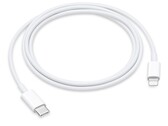 È questa l'ultima resistenza di Lightning? (Fonte: Apple)