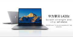 Il Qingyun L420z nella variante di colore grigio spazio