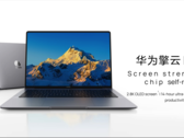 Il Qingyun L420z nella variante di colore grigio spazio