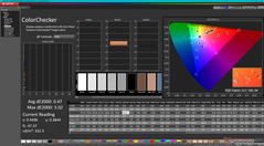 ColorChecker dopo la calibrazione