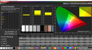 CalMAN ColorChecker calibrato (spazio colore target sRGB, Windows)
