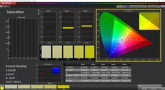 CalMAN - Saturazione calibrata (spazio colore target AdobeRGB)