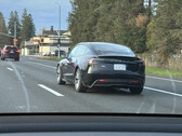 La gente continua a vedere la Model 3 Highland negli Stati Uniti (immagine: Reddit)