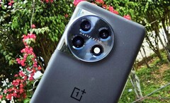 Il OnePlus 11 rimarrà l&#039;unica ammiraglia dell&#039;azienda fino al OnePlus 12, precedentemente illustrato. (Fonte: NotebookCheck)