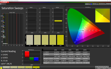 CalMAN: Saturazione Colore – spazio colore target sRGB, profilo colore standard