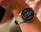 Gli utenti dello smartwatch Garmin Fenix 8 AMOLED (nella foto) hanno segnalato un problema di luminosità. (Fonte: Garmin)
