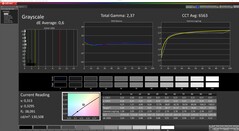 CalMAN: scala di grigi (calibrato)