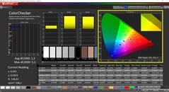 CalMAN ColorChecker calibrato (spazio colore target P3)