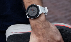 Il Forerunner 955 si avvicina al suo secondo compleanno (fonte: Garmin)