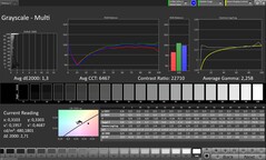 Scala di grigi CalMAN