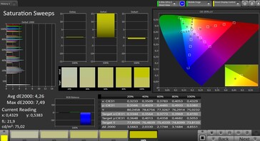 CalMAN saturation sweeps (spazio colore target sRGB)