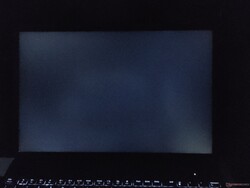 Moderato sanguinamento della retroilluminazione (qui mostrato migliorato)