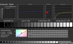 CalMAN: scala di grigi (calibrata)