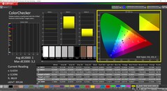 CalMAN ColorChecker calibrato