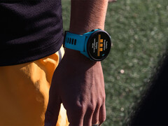 Garmin è tornata al suo Forerunner Beta Program dopo una breve pausa per risolvere i bug che causavano crash di sistema in una recente versione. (Fonte: Garmin)