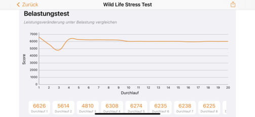 3DMark - Stress test della Wild Life