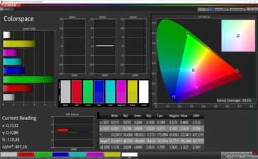 CalMAN: Spazio colore - contrasto automatico, colori caldi, spazio colore target DCI P3