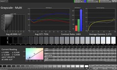 Scala di grigi CalMAN