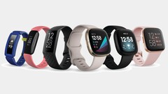 Tutti i dispositivi attuali di Fitbit, tranne l'Ace 3, ora supportano la gestione dello stress. (Fonte: Fitbit)