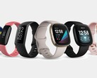 Tutti i dispositivi attuali di Fitbit, tranne l'Ace 3, ora supportano la gestione dello stress. (Fonte: Fitbit)