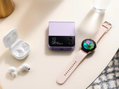 Samsung inizierà ad aggiornare le serie Galaxy Watch4 e Galaxy Watch5 il mese prossimo. (Fonte: Samsung)